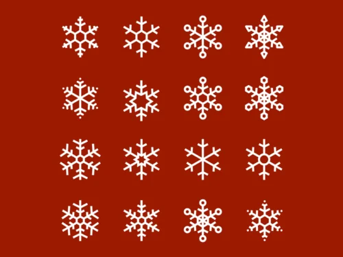 16 Snowflake Icons